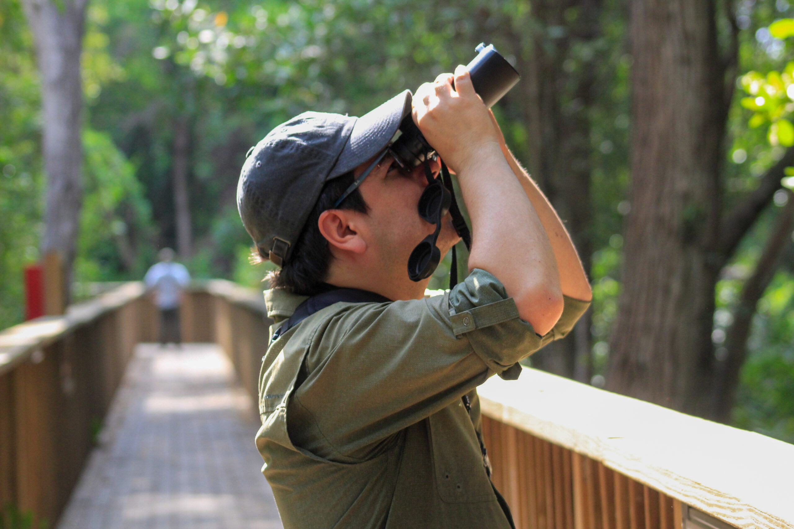 Aviturismo en Barranquilla con observación de aves en el Gran Malecón y la Ciénaga de Mallorquín.